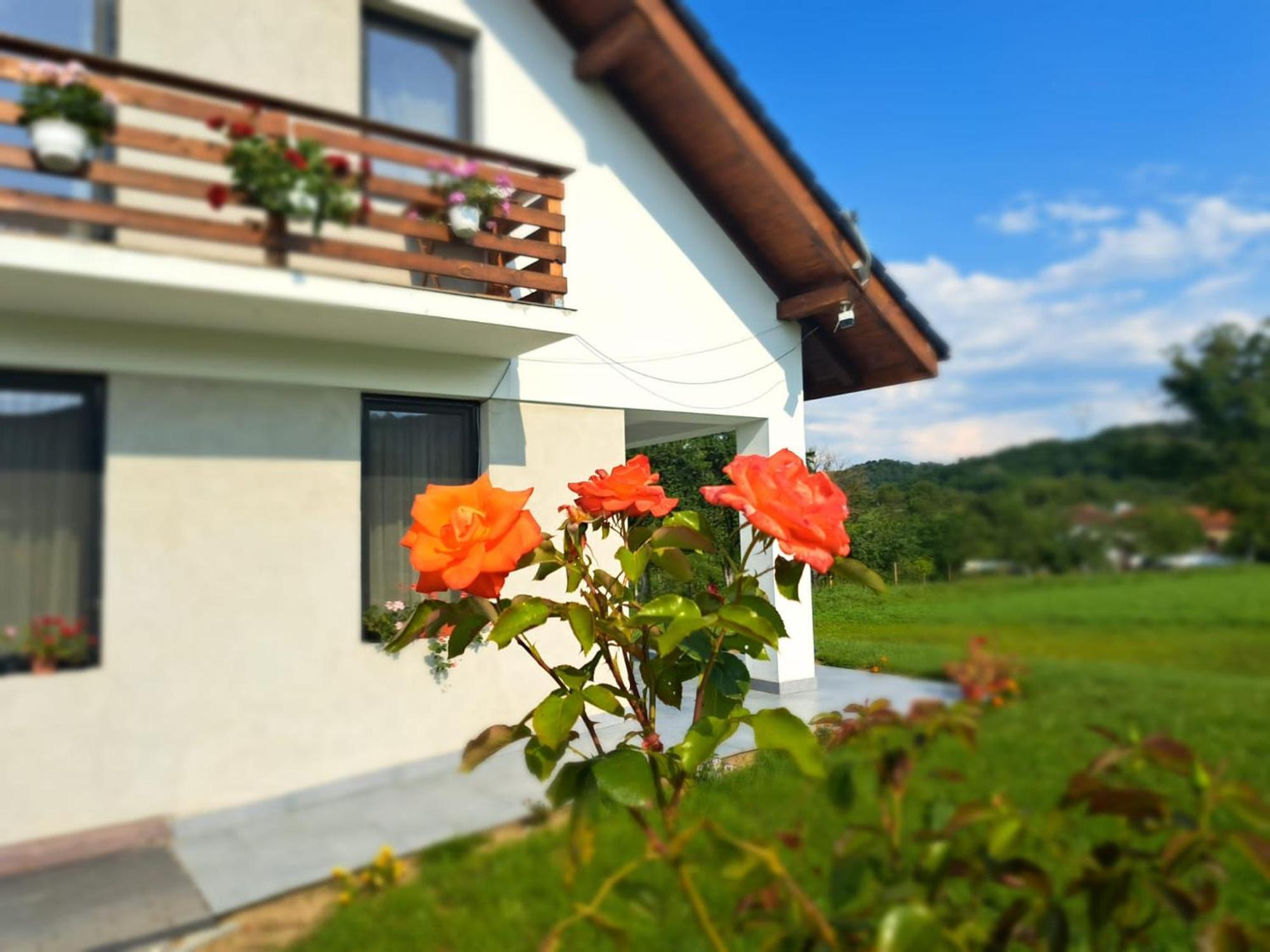 ホテル Eco Familia Pojoga エクステリア 写真